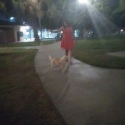 Rear view of woman with dog walking on footpath