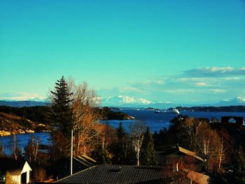 Scenic view of trees and buildings against blue sky