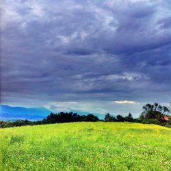 Scenic view of grassy field against cloudy sky