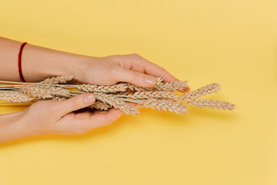 Cropped hand of woman holding star shape against pink background