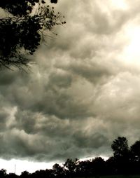 Low angle view of trees against cloudy sky