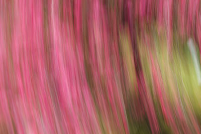 Full frame shot of multi colored background