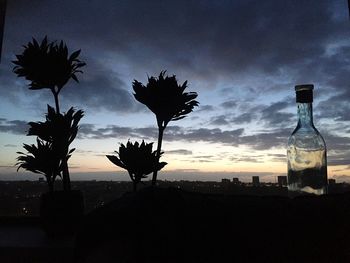 Silhouette of palm trees against cloudy sky