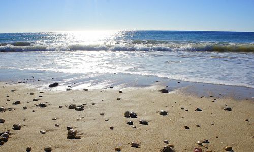 Scenic view of beach