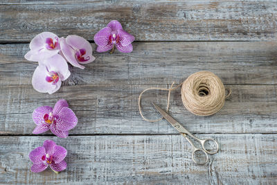 High angle view of pink orchids with thread spools on table