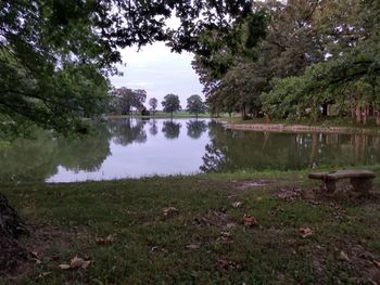 Scenic view of lake amidst trees against sky