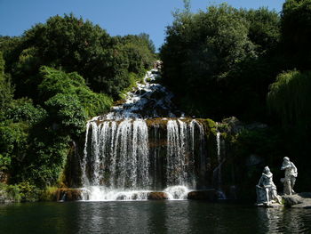 Scenic view of waterfall against trees