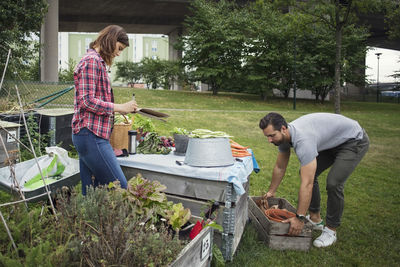 Mid adult couple working in urban garden