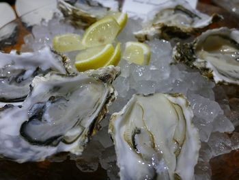 Close-up of oysters and lemon slices on ice