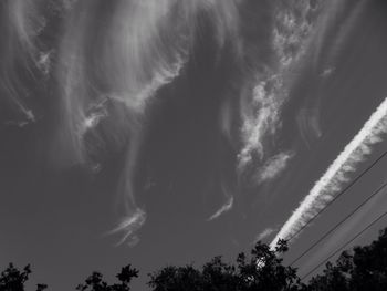 Low angle view of trees against sky