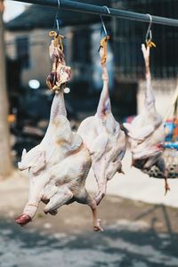 Close-up of chicken meat hanging from hook on rod at market stall