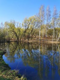 Reflection of trees in lake against blue sky