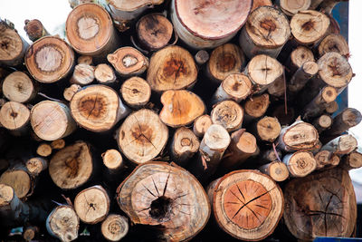 Full frame shot of logs in forest