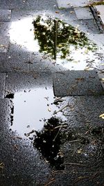 High angle view of wet footpath in rainy season