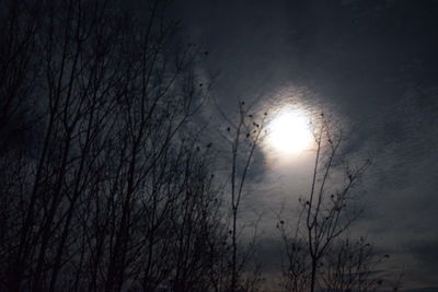 Low angle view of silhouette bare trees against sky during sunset