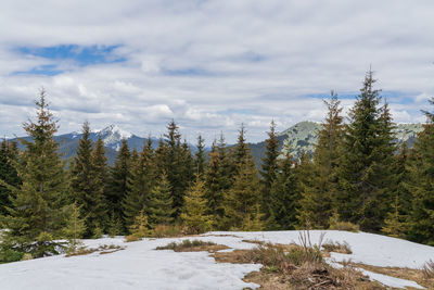 Snow covered landscape against sky