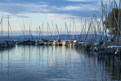 Sailboats moored in harbor against sky