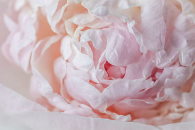 Close-up of crumpled paper