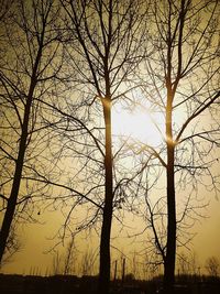 Silhouette bare trees against sky during sunset