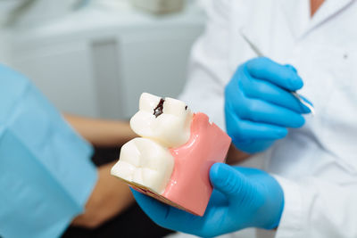 Cropped hands of dentist holding dentures