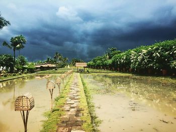 View of road against cloudy sky