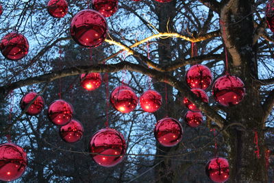 Close-up of christmas tree against sky