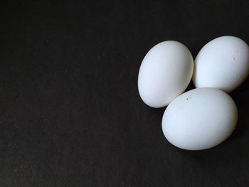 High angle view of eggs against black background