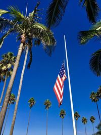 Low angle view of american flag by palm trees against blue sky