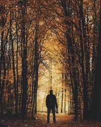 Silhouette of woman walking on road