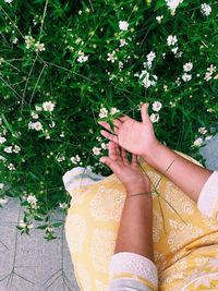 Low section of woman holding pink flowering plants