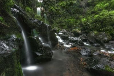 View of waterfall in forest