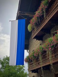 Low angle view of potted plants on building