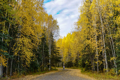 Road amidst trees against sky during autumn