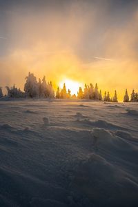 Scenic view of landscape against sky during winter