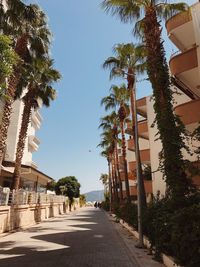 Empty road amidst trees and buildings against sky