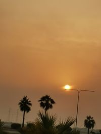 Silhouette palm trees against orange sky