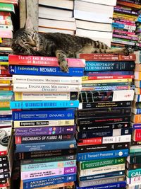 Full frame shot of books in shelf