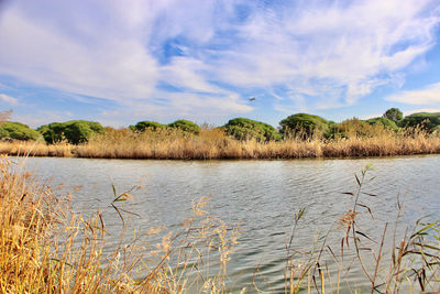 Scenic view of lake against sky