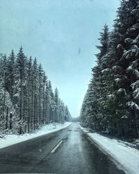 Road amidst trees against sky during winter