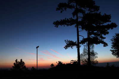 Silhouette trees at sunset