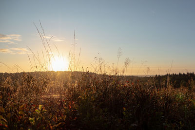Scenic view of field against sky during sunset