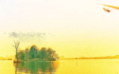 Birds flying over lake against clear sky