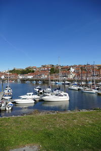 Sailboats moored at harbor against clear sky