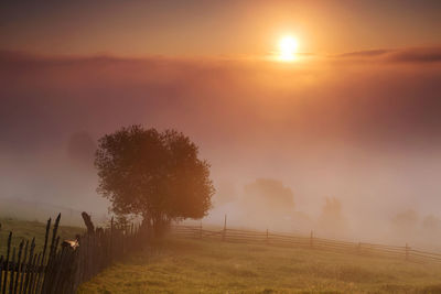 Scenic view of field against sky during sunset