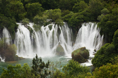 Scenic view of waterfall in forest