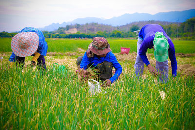 People working in farm against sky