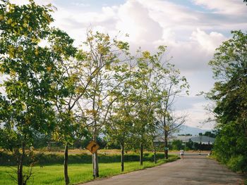 Road amidst trees against sky