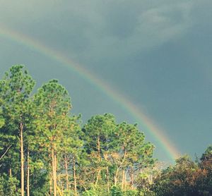 Scenic view of rainbow against sky