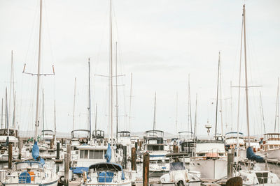 Sailboats moored in harbor