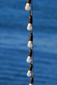 Close-up of rope tied to fishing net in sea